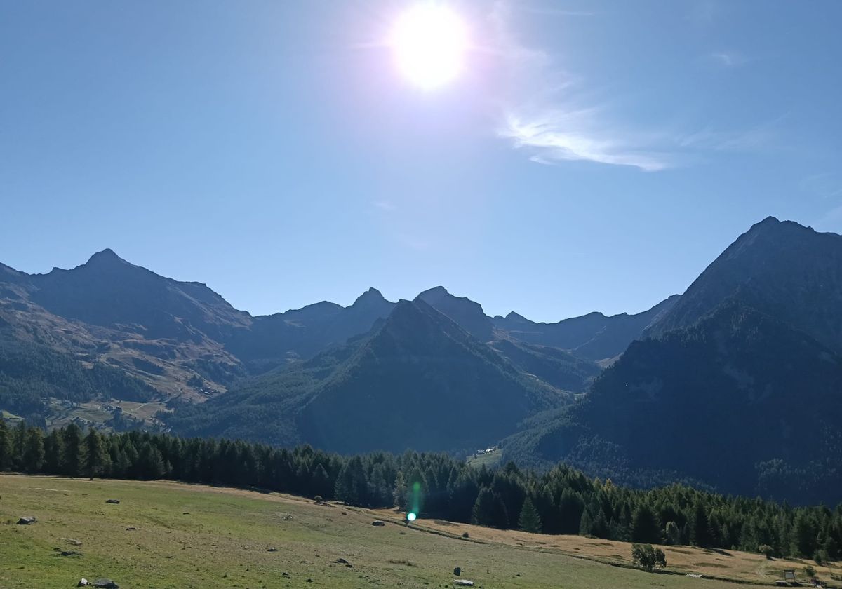 Pian Pera